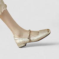 Women's Mary Jane Shoes | Low Heel - look